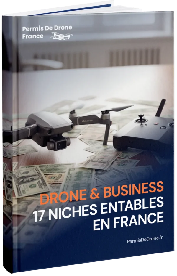 Drone et business: 17 niches rentables en France (immobilier, événementiel, agriculture)